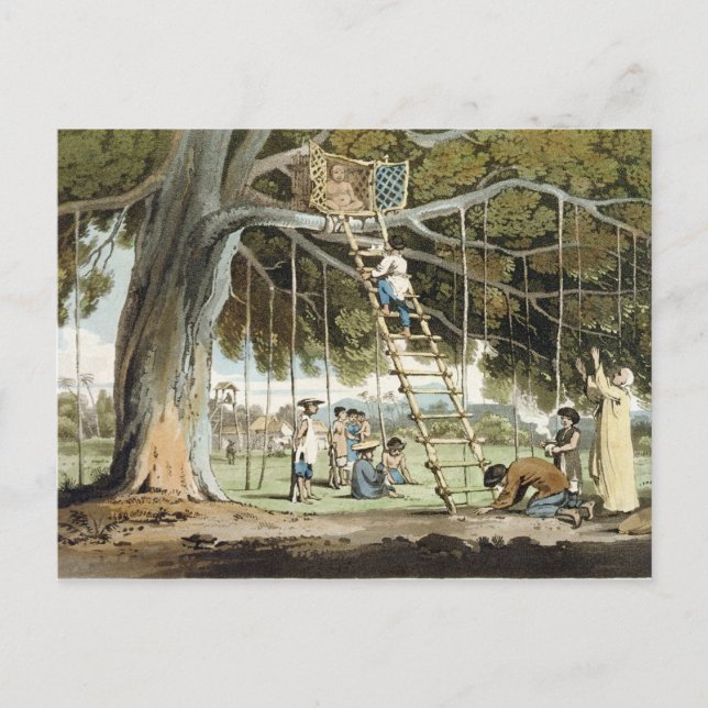 An Offering of First Fruits to the God Fo, plate 1 Postcard (Front)