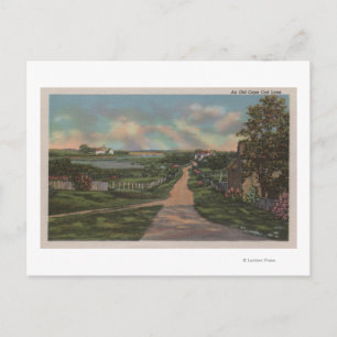 An Old Cape Cod Lane View Postcard