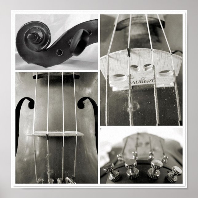 An Old Viola's Parts Photographic Print (Front)