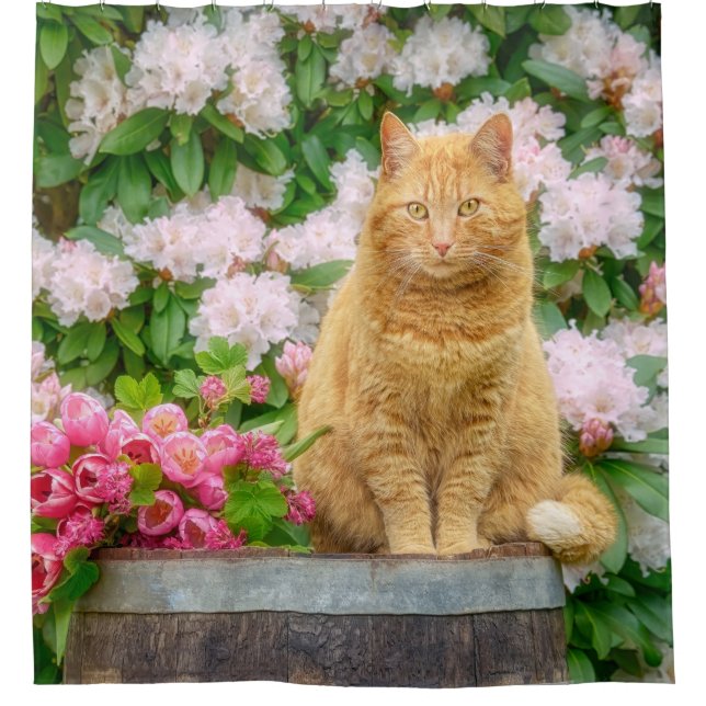 An Orange Cat in a Garden with Pink Spring Flowers Shower Curtain (Front)