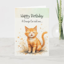 An Orange Cat Personality Birthday Animal