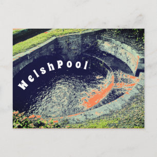 An Orange Pool in Welshpool Photography  Postcard