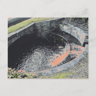 An Orange Pool in Welshpool Postcard