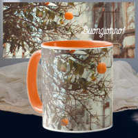 An Orange Tree in a Romantic Old Town