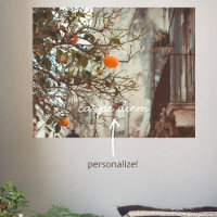 An Orange Tree in a Romantic Old Town