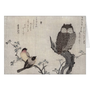 An Owl and two Eastern Bullfinches