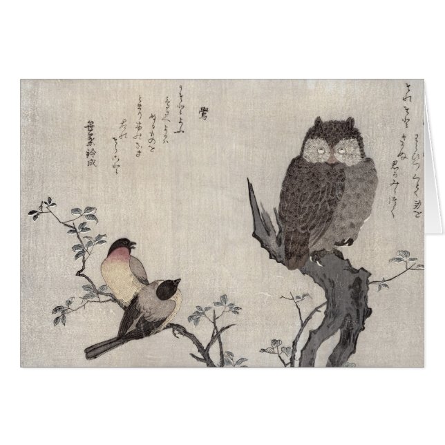 An Owl and two Eastern Bullfinches (Front Horizontal)