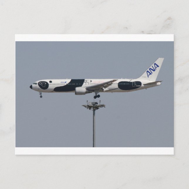 ANA Panda 全日空 Postcard (Front)