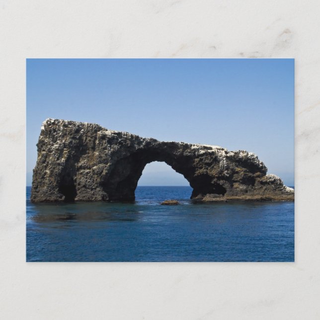 Anacapa Island Arch Rock Postcard (Front)