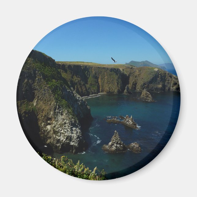 Anacapa Island at Channel Islands National Park Magnet (Front)