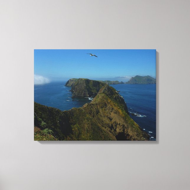 Anacapa's Inspiration Point I in Channel Islands Canvas Print (Front)