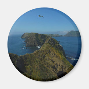 Anacapa's Inspiration Point I in Channel Islands Magnet