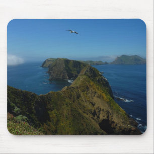 Anacapa's Inspiration Point I in Channel Islands Mouse Mat