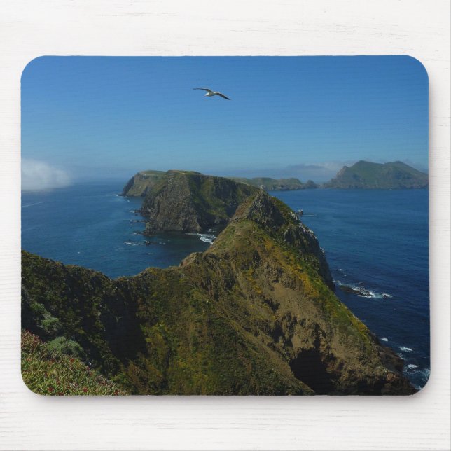 Anacapa's Inspiration Point I in Channel Islands Mouse Mat (Front)