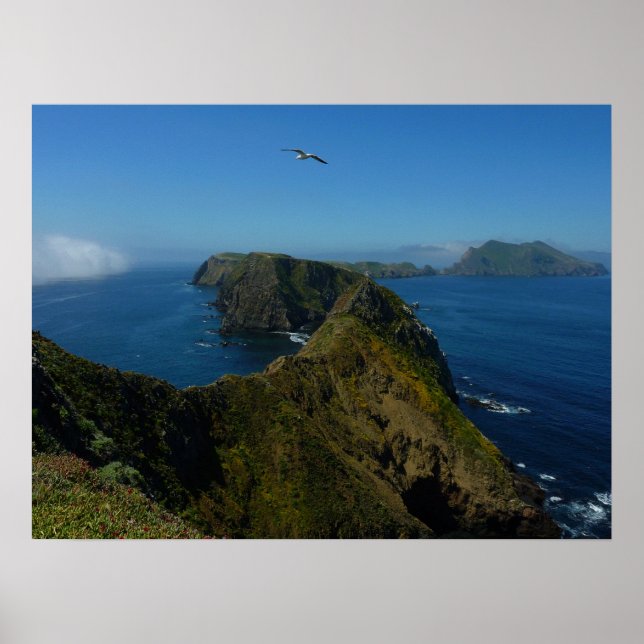 Anacapa's Inspiration Point I in Channel Islands Poster (Front)