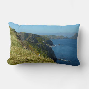 Anacapa's Inspiration Point II at Channel Islands Lumbar Cushion