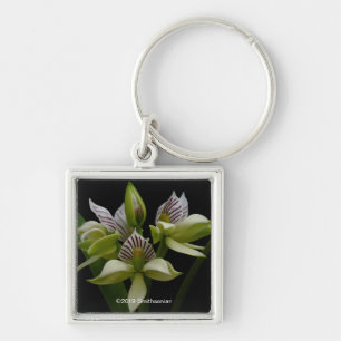 Anacheilium Chacoense Key Ring