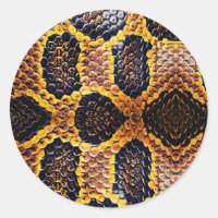 Anaconda snake skin