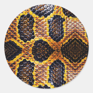 Anaconda snake skin classic round sticker