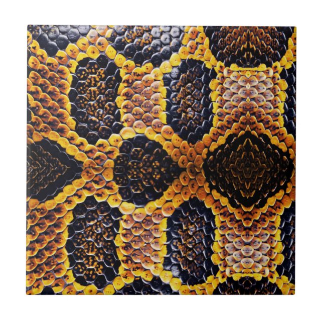 anaconda snake skin print tile (Front)