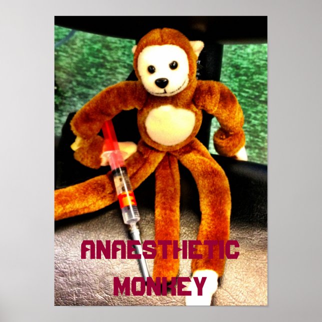 ANAESTHETIC MONKEY POSTER (Front)