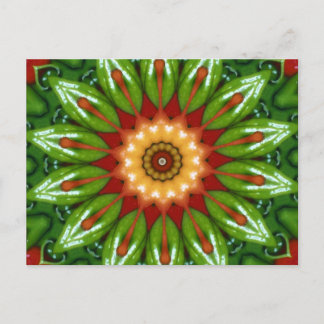 Anaheim Peppers Postcard