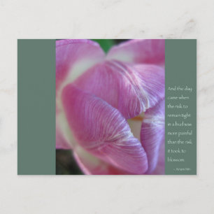 Anais Nin Quote Postcard