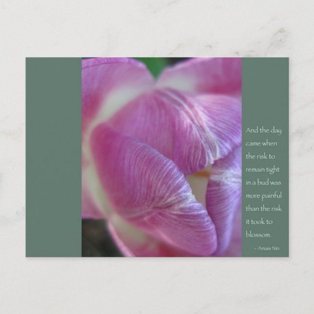 Anais Nin Quote Postcard (Front)