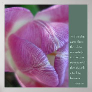 Anais Nin Quote Poster