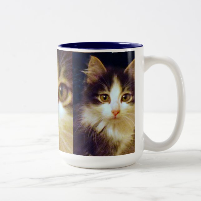 Anakin Two Legged Cat, Cute Kitten Mug, Close Up Two-Tone Coffee Mug (Right)