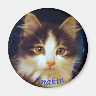 Anakin Two Legged Cat, Cute Kitten Round Magnet