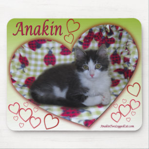 Anakin Two Legged Cat Ladybug Heart KittyMousepad Mouse Mat