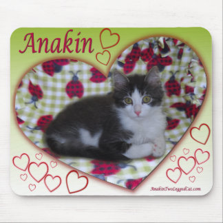 Anakin Two Legged Cat Ladybug Heart KittyMousepad Mouse Mat
