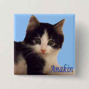Anakin Two Legged Cat Logo, Cute Kitten Button