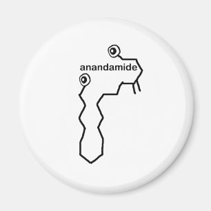 Anandamide Neurotransmitter Magnet