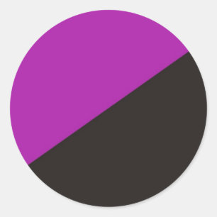 anarchist feminism flag purple black anarchy classic round sticker
