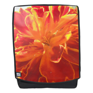 Anastaise Backpack