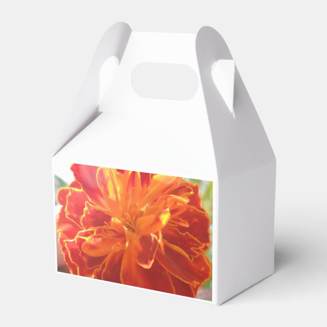 Anastaise Favour Box (Front Side)