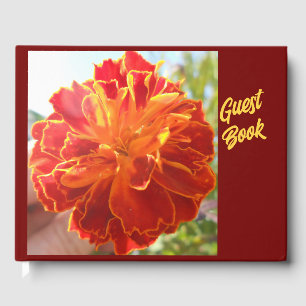 Anastaise Guest Book