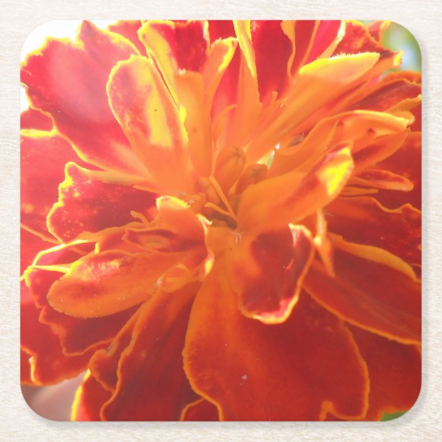 Anastaise Square Paper Coaster (Front)
