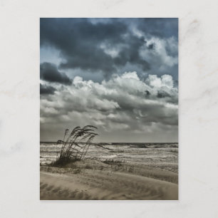 Anastasia 3 postcard