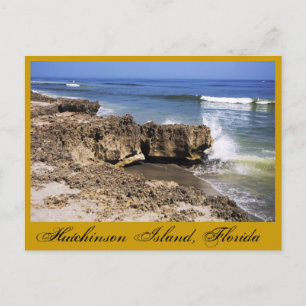 Anastasia Formation, Hutchinson Island, Florida Postcard