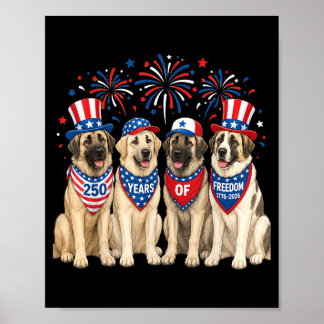 Anatolian Shepherd Dog 250 Years Aamerican 1776 Poster