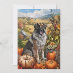 Anatolian Shepherd Dog Autumn Harvest Thanksgiving Holiday Card