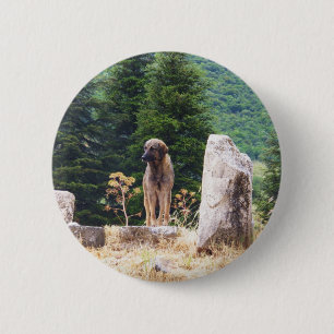 Anatolian Shepherd Dog -  Ephesus, Turkey 6 Cm Round Badge