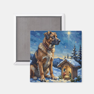 Anatolian Shepherd Dog Guarding Nativity Scene Magnet