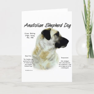 Anatolian Shepherd Dog History Design Holiday Card