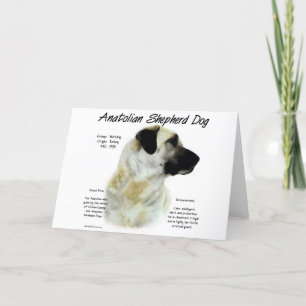 Anatolian Shepherd Dog History Design Holiday Card