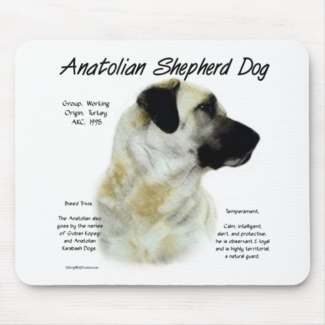 Anatolian Shepherd Dog History  Mouse Mat (Front)
