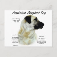 Anatolian Shepherd Dog History